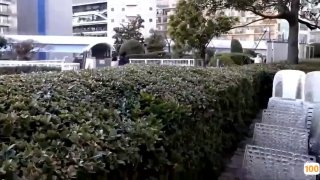 亚洲一成人一区二区三区不卡|亚洲精品99久久久久中文字幕